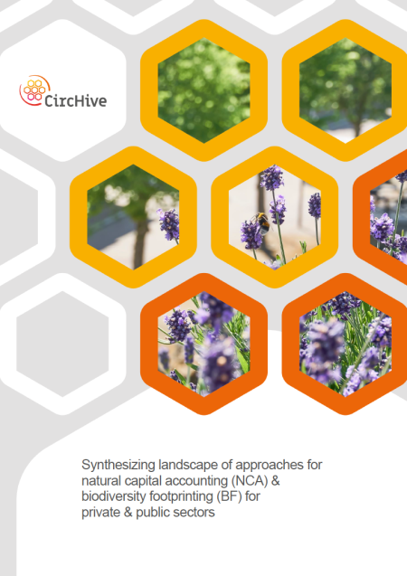 CircHive D2.1 report front cover.