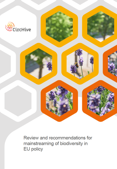 CircHive D3.4 report front cover