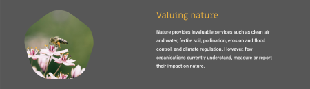 CircHive valuing nature banner