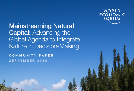 Mainstreaming Natural  Capital: Advancing the  Global Agenda to Integrate  Nature in Decision-Making