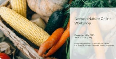 online workshop image