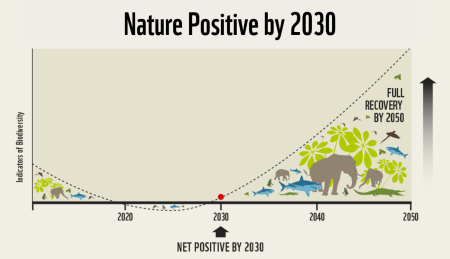 Nature Positive