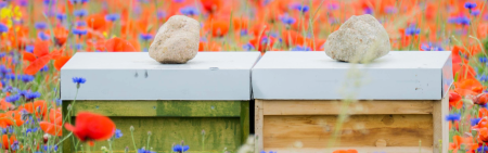 Beehives banner image