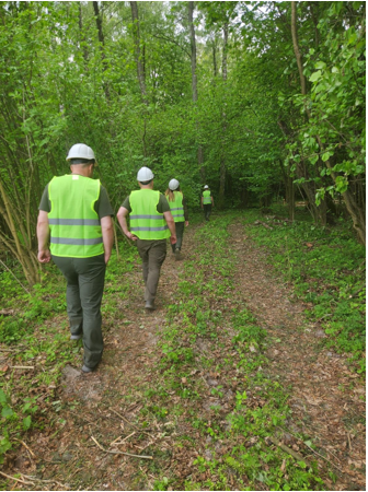 The National Sustainable Forest Business Strategy