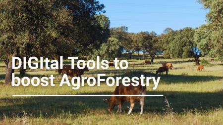 agroforestry system called Montado