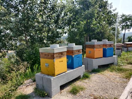 Beehives in the Italian countryside