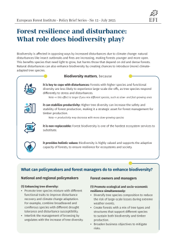Forest resilience and disturbance: What role does biodiversity play