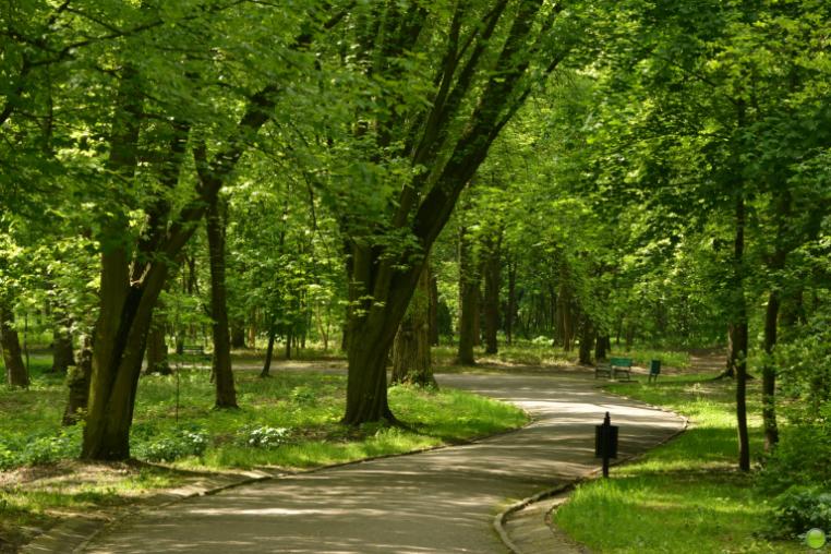 Adam Mickiewicz Park in Łódź, Poland