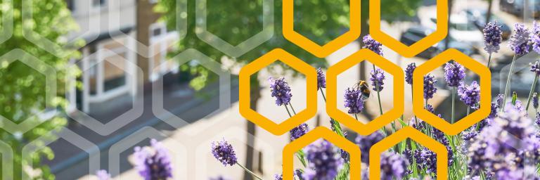 CircHive Header image