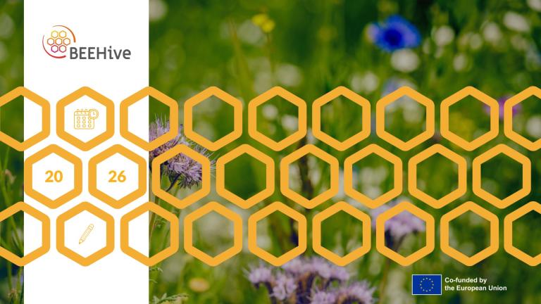 Green background, with grass and flowers. Logo BEEHive in the top right corner and co-funded by the European union in the bottom left corner. Hexagons around the image mimicking a beehive.