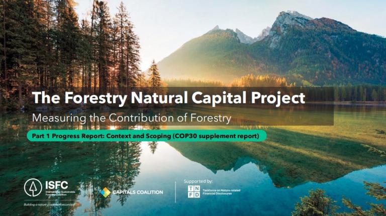 The Forestry Natural Capital Project Part 1