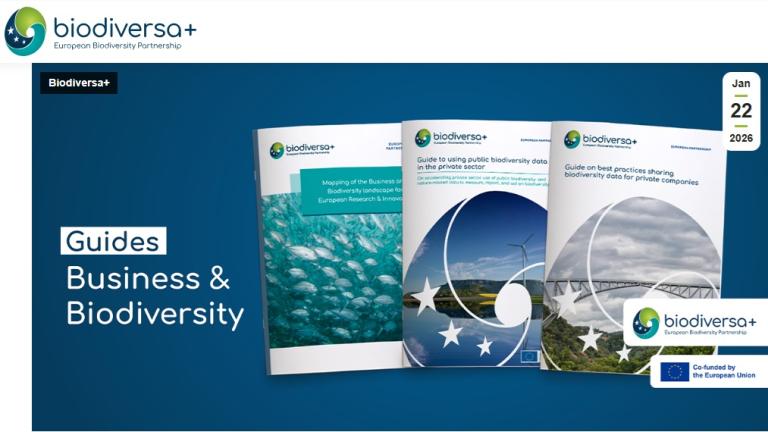 Business & Biodiversity Guides