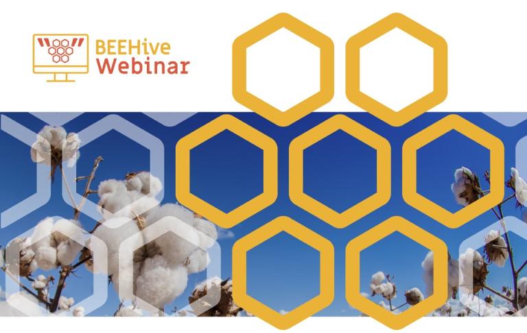 BeeHive Webinar