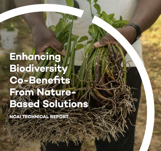 enhancing the biodiversity crisis report cover