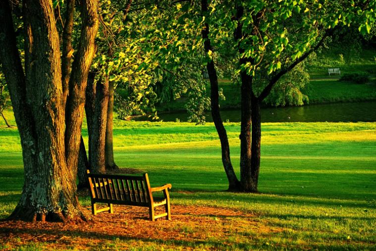 meadowlark-park-bench-nature