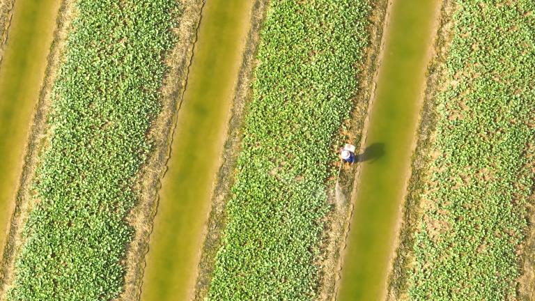 farming for resilient climate