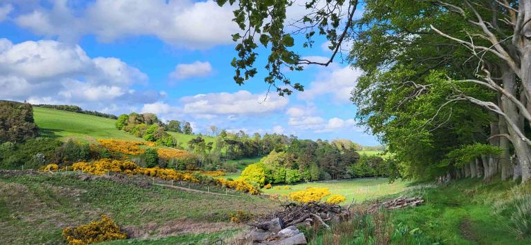 landscape Edinburgh