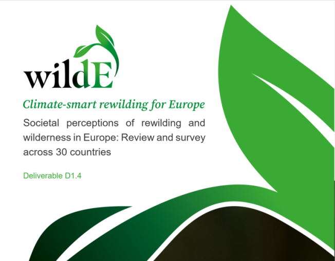 Front cover of the report.