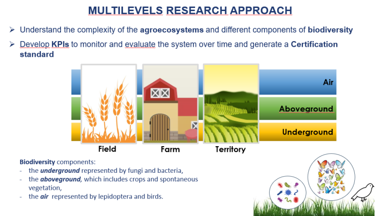 Biodiversity in agroeconomy